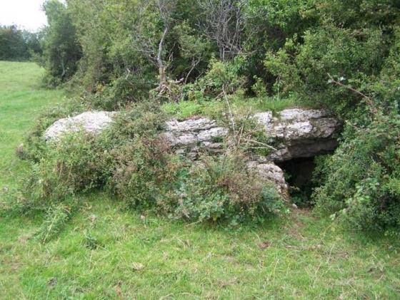Glyn (Burial Chamber)