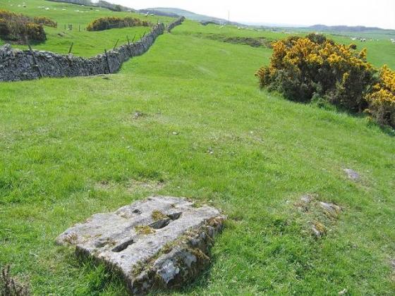 Clauchendolly (Cup and Ring Marks / Rock Art)