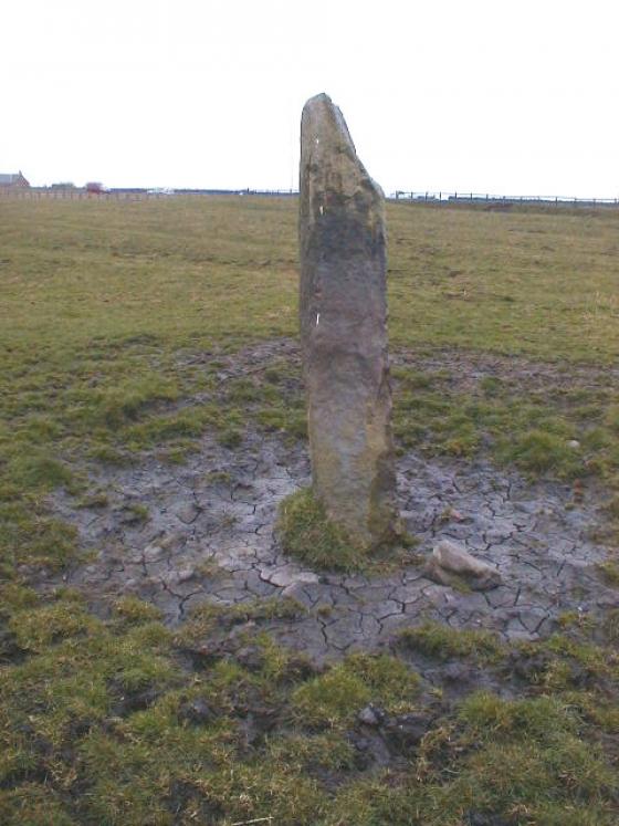 Old Hartley