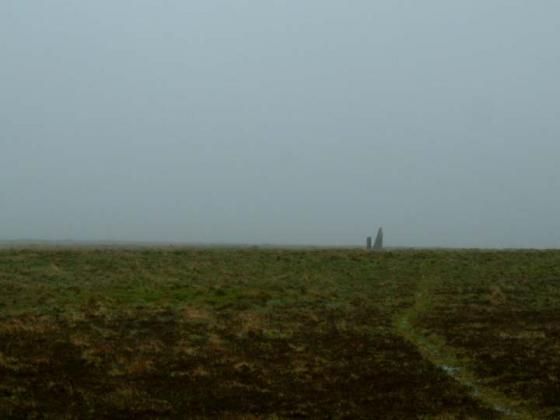 Piles Hill longstone (Standing Stone / Menhir)