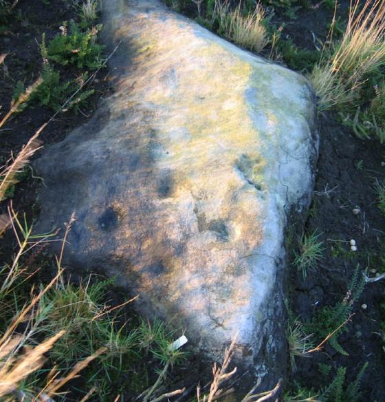 Fylingdales Moor (Cup and Ring Marks / Rock Art)