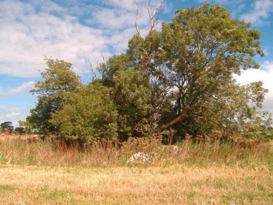 Coolagorane Upper (Cairn(s))
