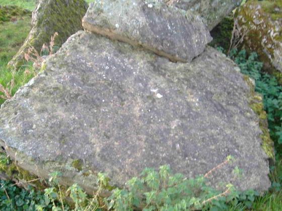 Ashley Park (Burial Chamber)