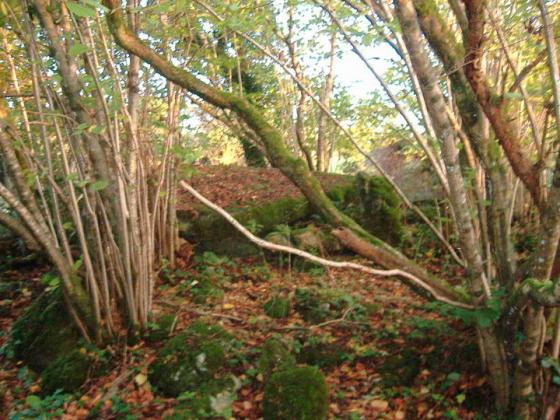 Gorraun (Wedge Tomb)