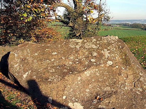 Coldrum (Long Barrow)