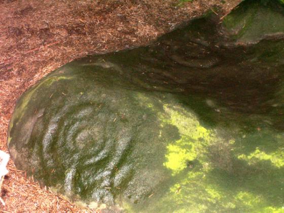 Buttony (Cup and Ring Marks / Rock Art)