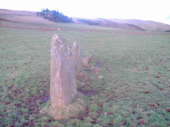 Glastrigan (Stone Row / Alignment)