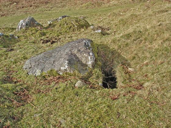 Wigford Down (Cairn(s))