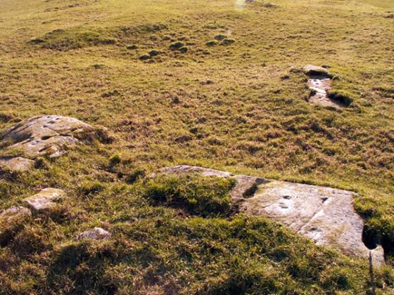 Milton (Cup and Ring Marks / Rock Art)