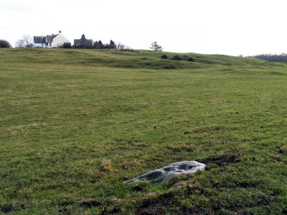 Milton (Cup and Ring Marks / Rock Art)