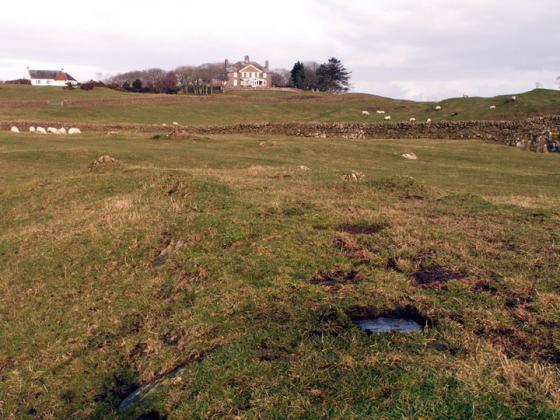 Milton (Cup and Ring Marks / Rock Art)