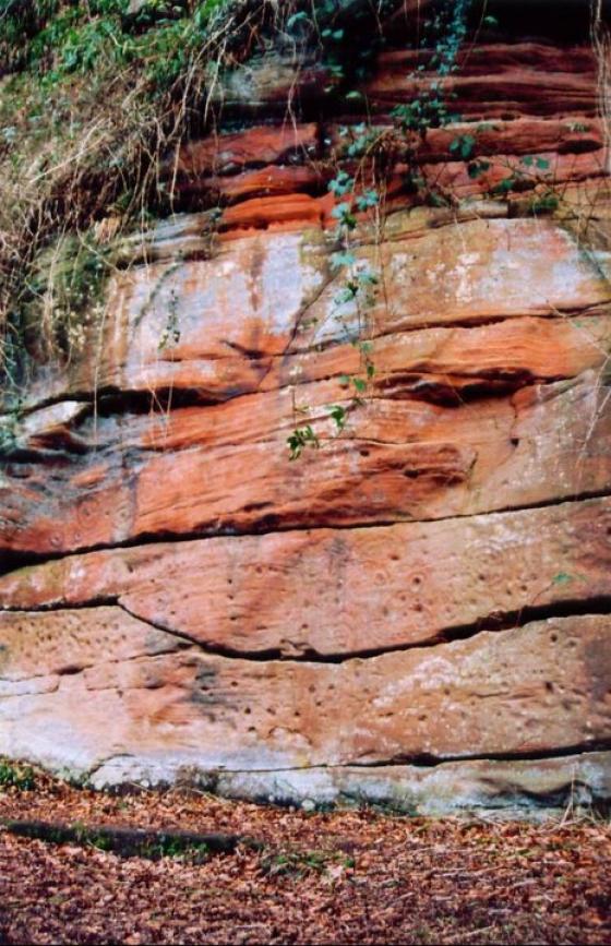 Ballochmyle Walls (Cup and Ring Marks / Rock Art)