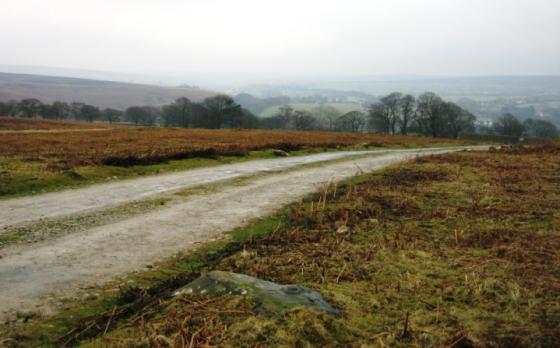 Allan Tofts, Goathland (Cup and Ring Marks / Rock Art)