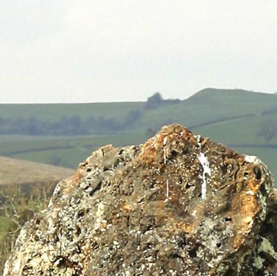 The Great Circle, North East Circle & Avenues (Stone Circle)