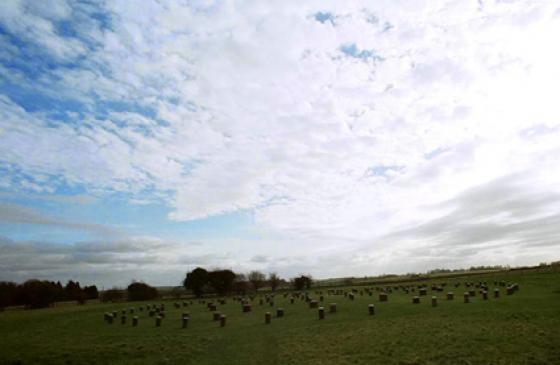 Woodhenge (Timber Circle)