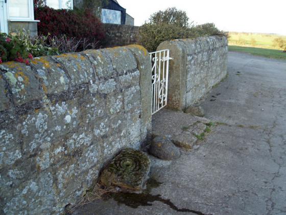 The Warrior Stone (Standing Stone / Menhir)