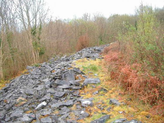 Mooghaun (Hillfort)