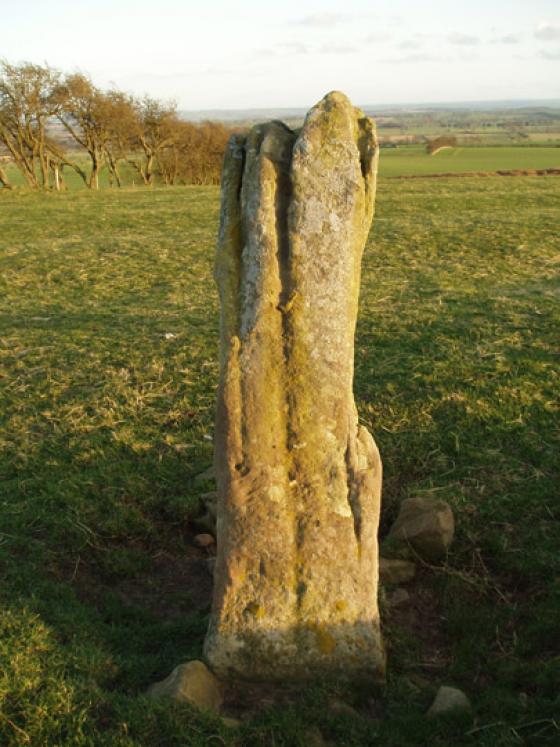 The Warrior Stone (Standing Stone / Menhir)
