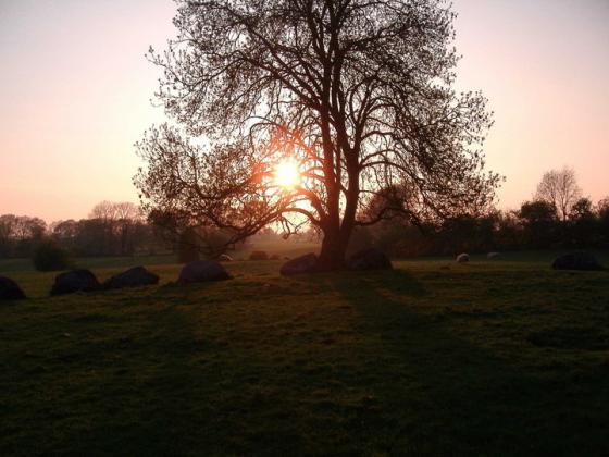Broadleas (Stone Circle)