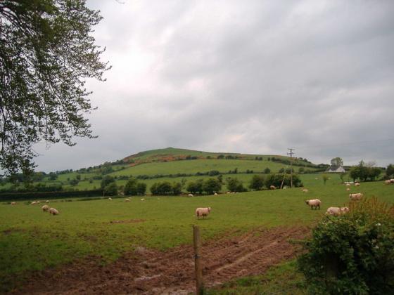 Croghan Hill (Sacred Hill)
