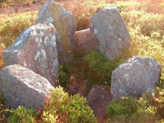 Shrough (Passage Grave)