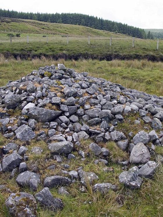 Ballyvennaght (Cairn(s))