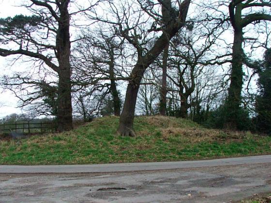 Robin Hood’s Tump (Round Barrow(s))