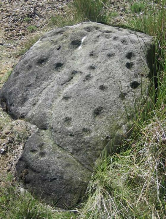 Gayles Moor (Cup and Ring Marks / Rock Art)