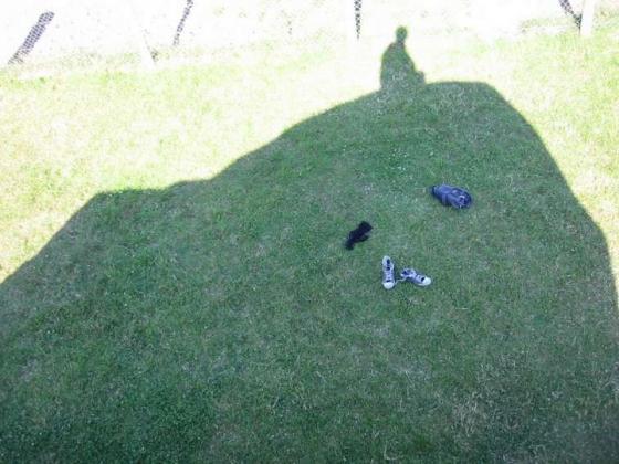 Browne’s Hill (Portal Tomb)