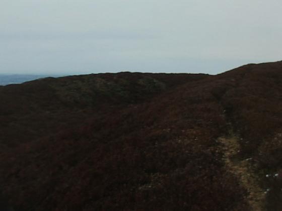 Moel Arthur (Hillfort)