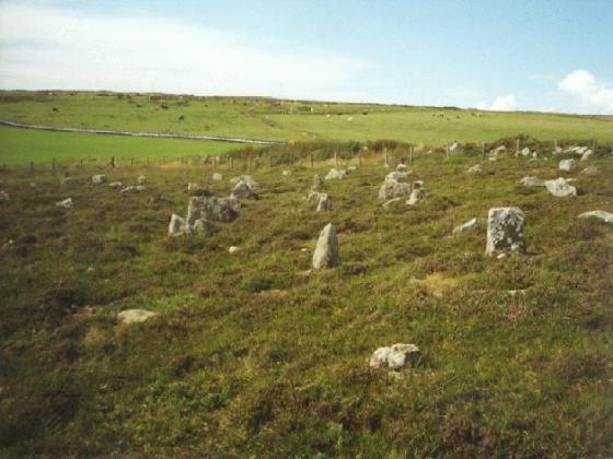 Hill O’Many Stanes (Multiple Stone Rows / Avenue)