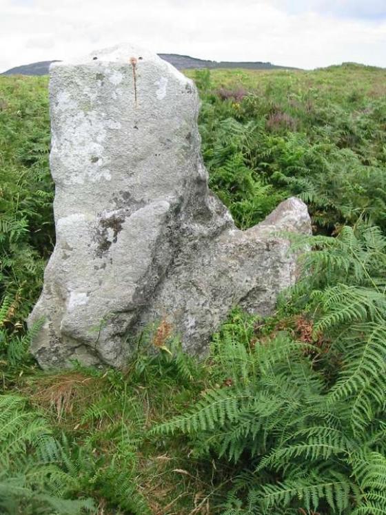 Dranagh (Standing Stone / Menhir)