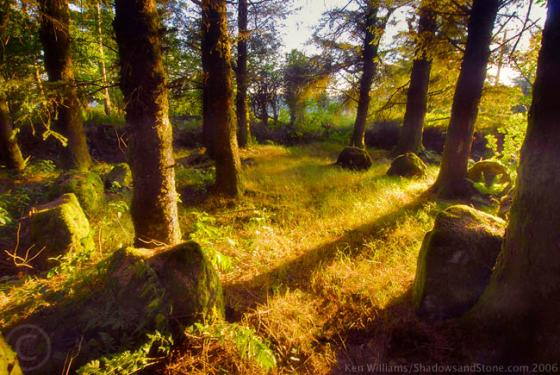 Glantane East S (Stone Circle)
