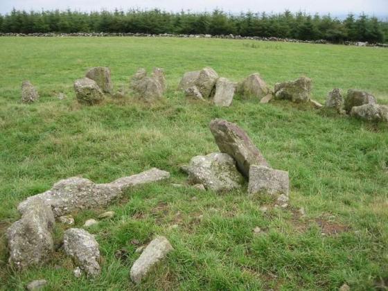 Bawnfree Hill (Passage Grave)