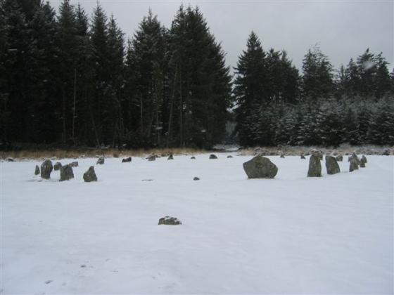 Fernworthy (Stone Circle)