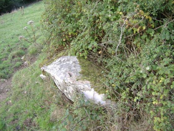 Cromwell Hill (Wedge Tomb)