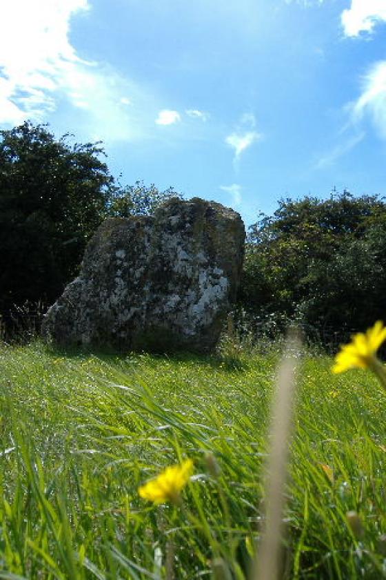 Lyneham Longbarrow (Long Barrow)