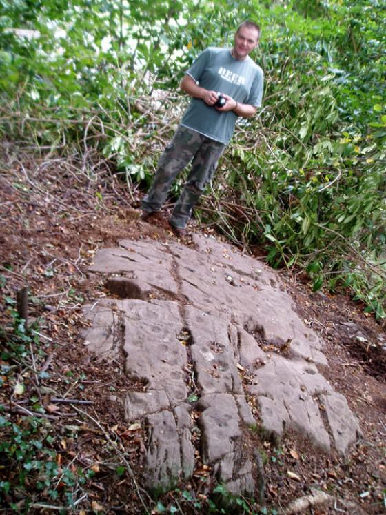 Grange 3 (Cup and Ring Marks / Rock Art)