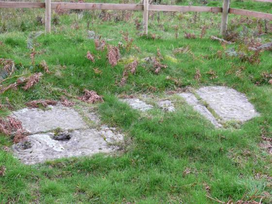 Newlaw Hill 1 (Cup and Ring Marks / Rock Art)