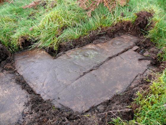 Newlaw Hill 2 (Cup and Ring Marks / Rock Art)