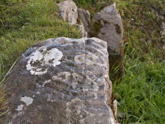 Bombie 2 (Cup and Ring Marks / Rock Art)