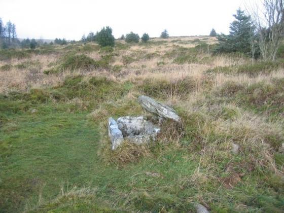 Thornworthy Down (Cist)