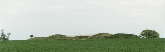 Bully Hills (Barrow / Cairn Cemetery)