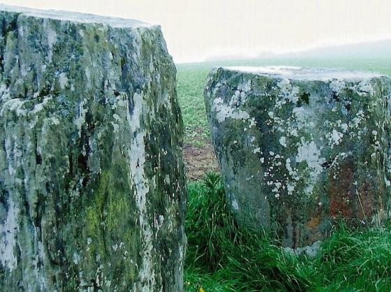 Templebryan (Stone Circle)