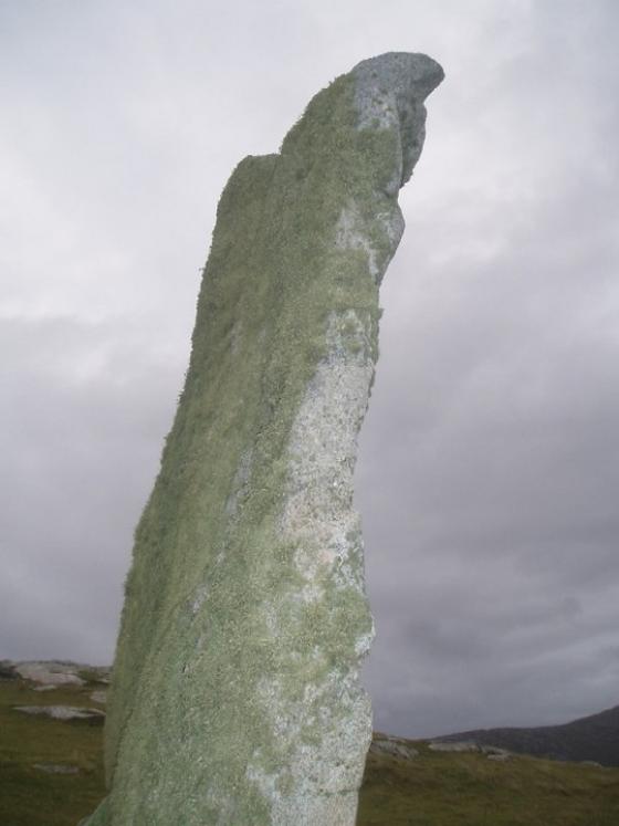 The Macleod Stone (Standing Stone / Menhir)