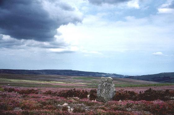 North Yorkshire
