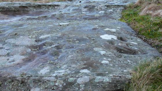 Broomridge (Cup and Ring Marks / Rock Art)