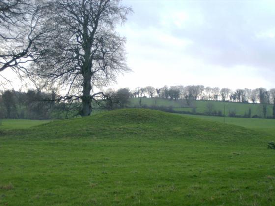 Portloman (Round Barrow(s))