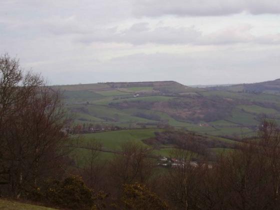 Pilsdon Pen (Hillfort)