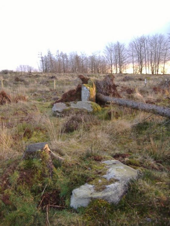 Knocknaglohall (Stone Row / Alignment)